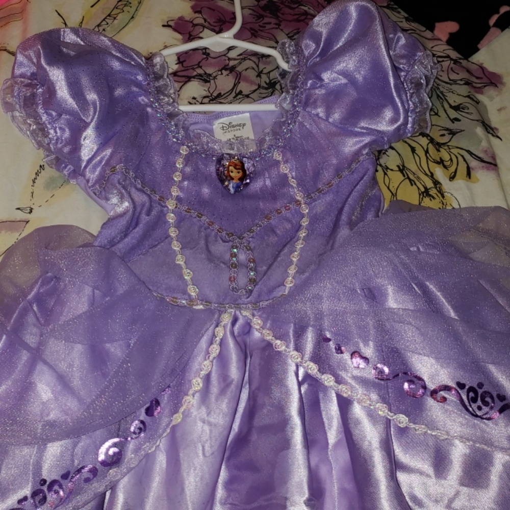 Disney Sophia the First dress size 3